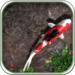 Pocket Pond HD